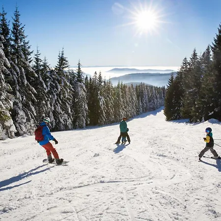 Tannenhof Fischbach - 7 