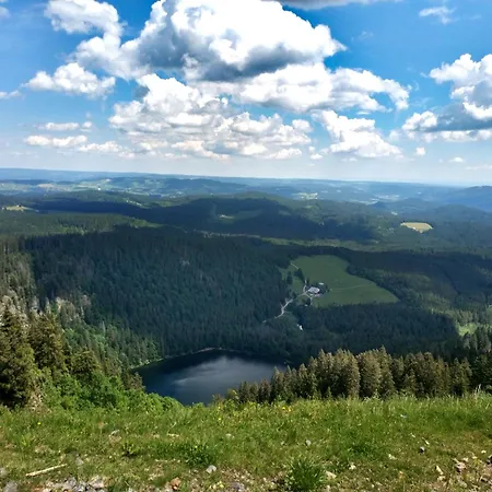 Tannenhof Fischbach - 7 